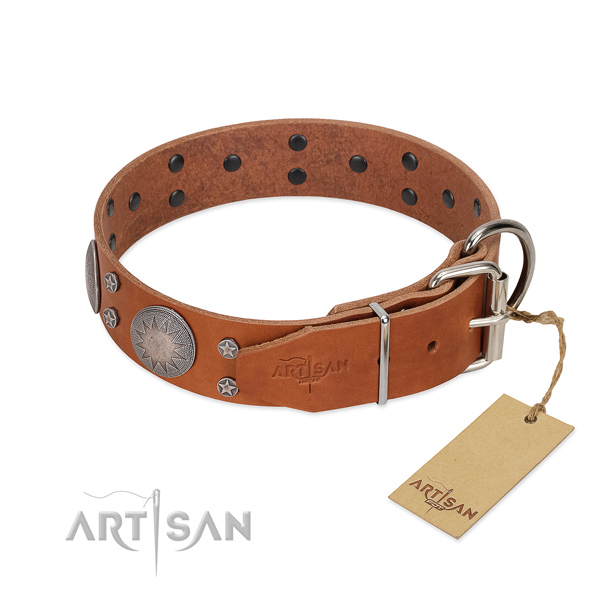 Strong buckle on full grain leather dog collar for fancy walking