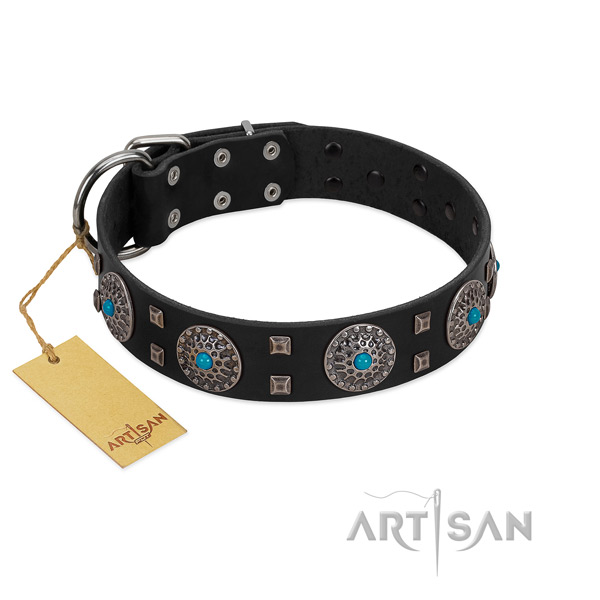Stylish walking full grain genuine leather dog collar with impressive decorations