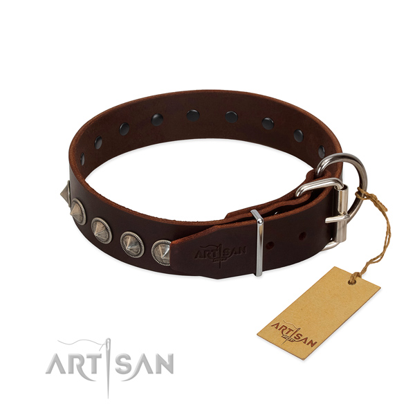Stylish adorned full grain natural leather dog collar for daily use