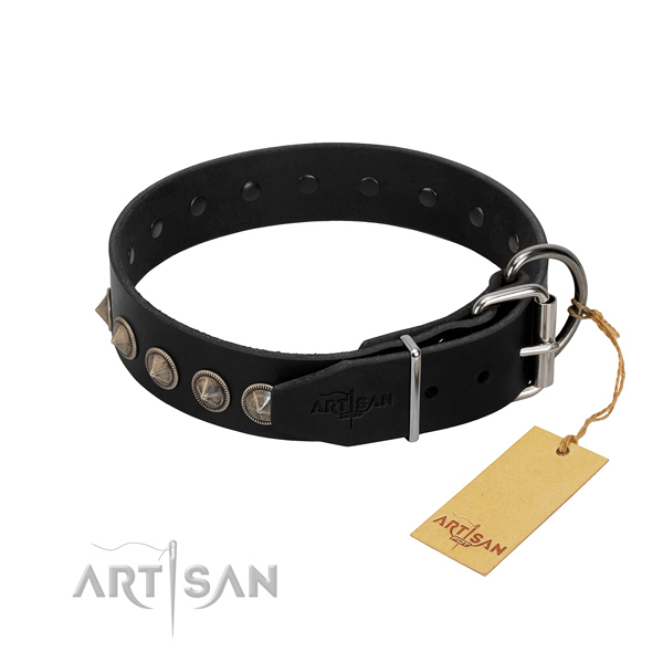 Significant embellished full grain natural leather dog collar for everyday use
