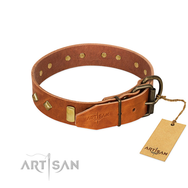 Reliable leather dog collar with rust resistant D-ring