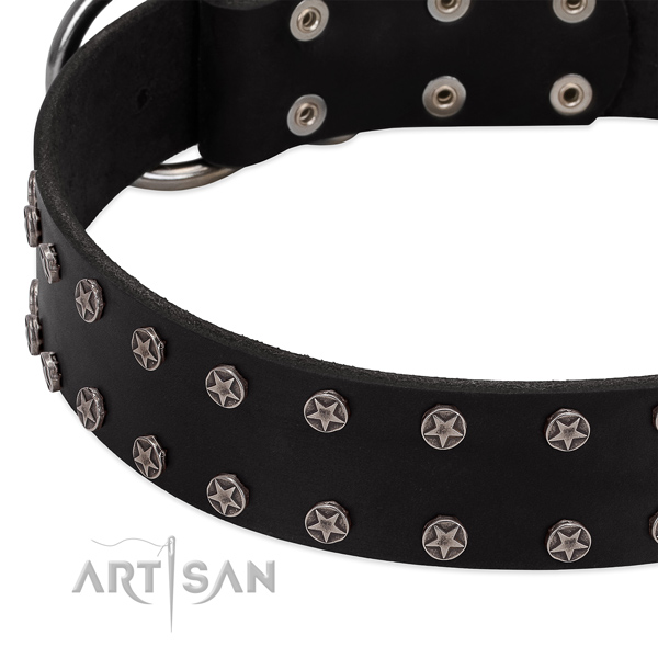 Top rate full grain genuine leather dog collar with studs for your canine