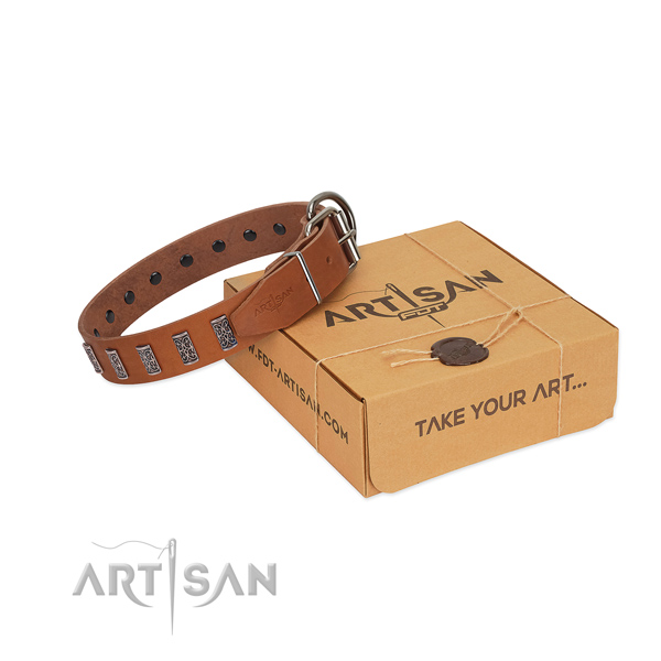 Rust resistant D-ring on leather dog collar for daily walking your doggie