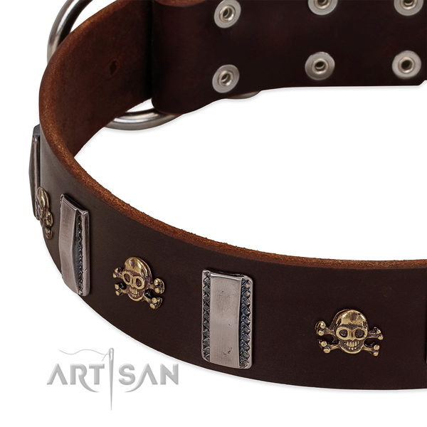 Stunning dog collar of full grain genuine leather with embellishments
