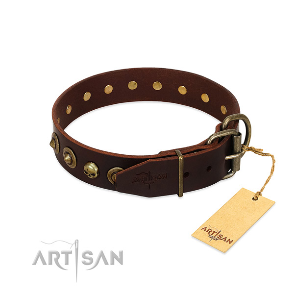 Genuine leather collar with remarkable adornments for your four-legged friend