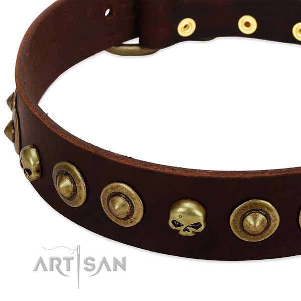 Unique adornments on full grain natural leather collar for your canine