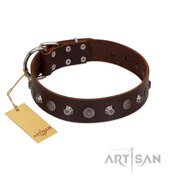 Amazing full grain leather dog collar