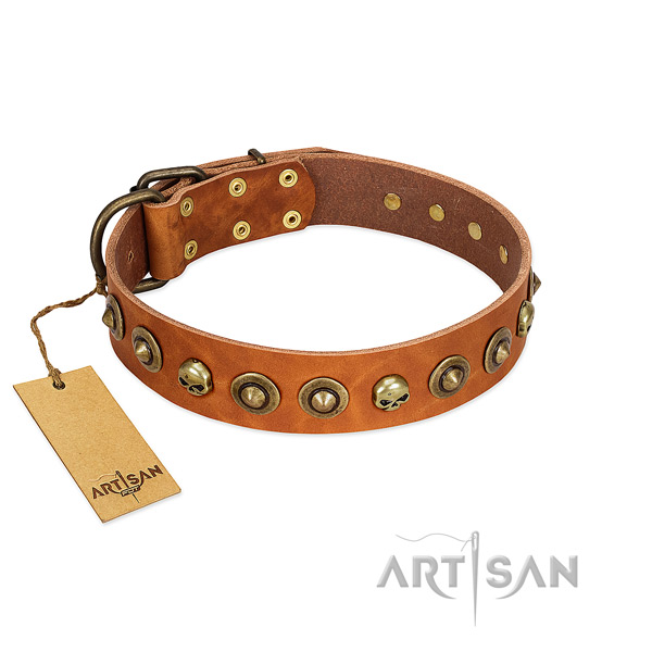 Leather collar with impressive decorations for your dog