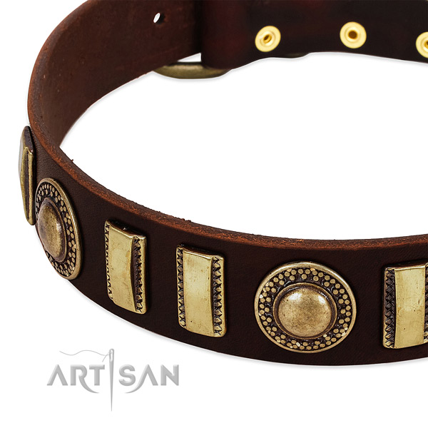 Reliable full grain natural leather dog collar with corrosion resistant fittings