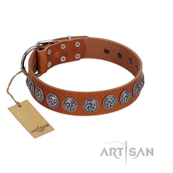 Top notch natural leather dog collar for your handsome doggie