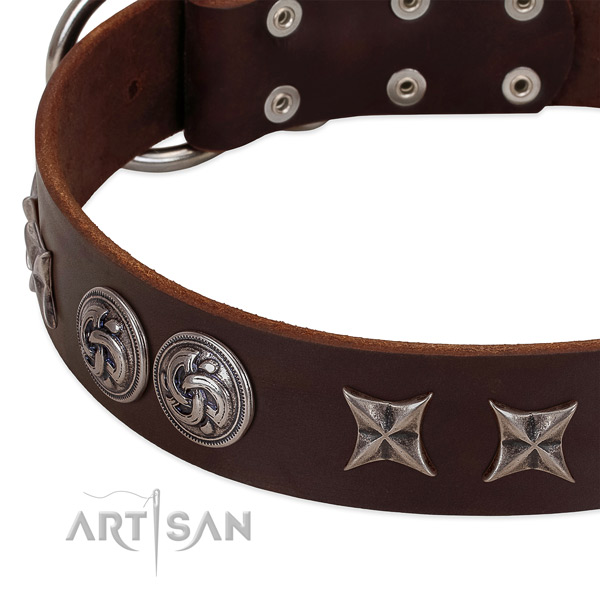 Natural leather collar with top notch adornments for your pet