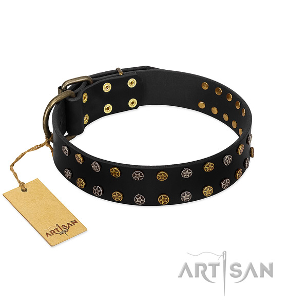 Top notch genuine leather dog collar with durable adornments