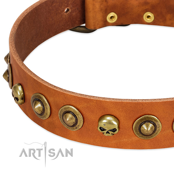 Remarkable studs on full grain natural leather collar for your dog