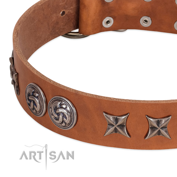 Leather collar with stylish design studs for your four-legged friend