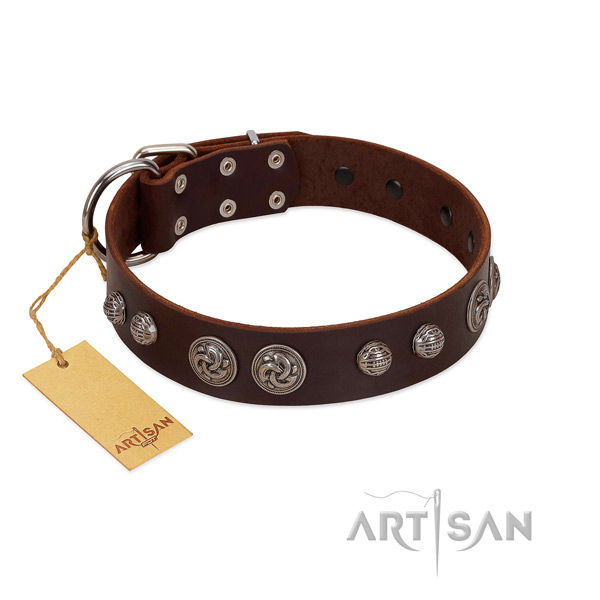 Corrosion proof buckle on genuine leather dog collar for your pet