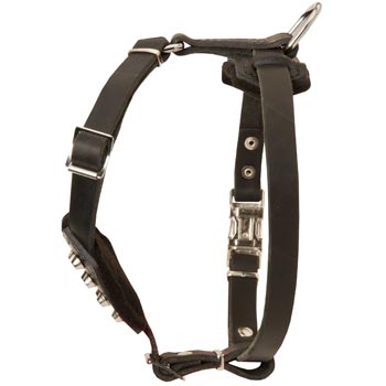 Leather English Pointer Puppy Harness for Comfy Walking