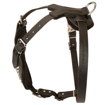 Custom Made Leather English Pointer Harness