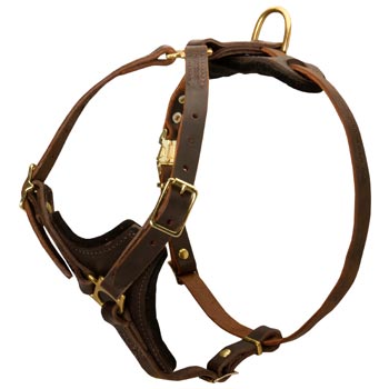 English Pointer Harness Y-Shaped Brown Leather Easy Adjustable for Best Fit