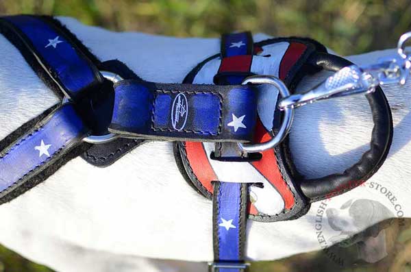 Back Plate of Painted Leather English Pointer Harness