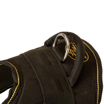 Heavy Duty Handle of English Pointer Harness