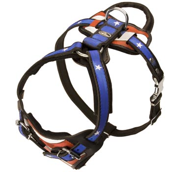 Leather SEnglish Pointer Harness with Handle Stitched to Back Plate