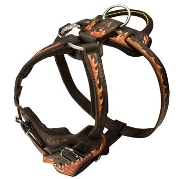 Leather Dog Harness with Handle for English Pointer Training