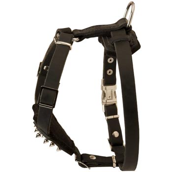 English Pointer Leather Harness for Puppy Walking and Training