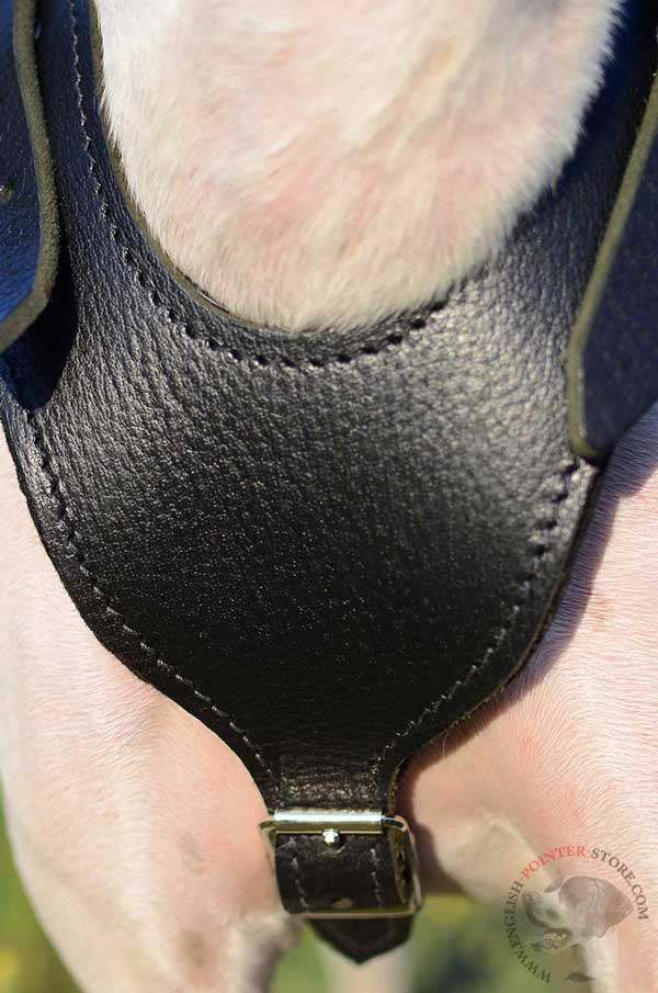 Leather English Pointer Harness Front Plate with Y Shape