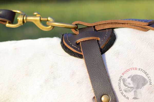 Leather English Pointer Harness Back Plate with Strong Brass Ring