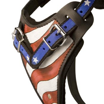 English Pointer Leather Harness With Hand Painted USA  Chest Plate