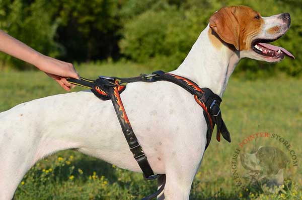 Adjustable Leather English Pointer Harness
