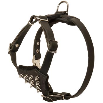 English Pointer Leather Puppy Harness with Attractive Nickel Decoration
