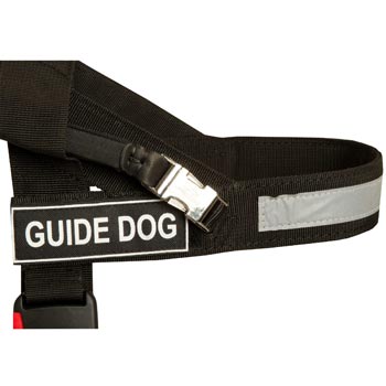 English Pointer Nylon Assistance Harness with Patches