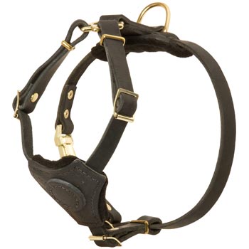 Light Weight Leather Puppy Harness for English Pointer