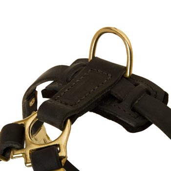 D-ring on Leather English Pointer Harness for Puppy Training