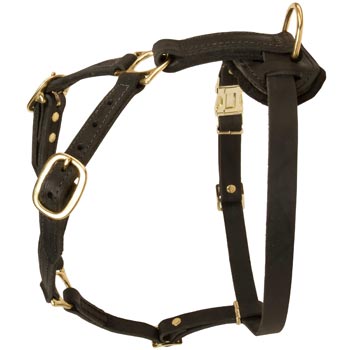 Tracking Leather Dog Harness for English Pointer