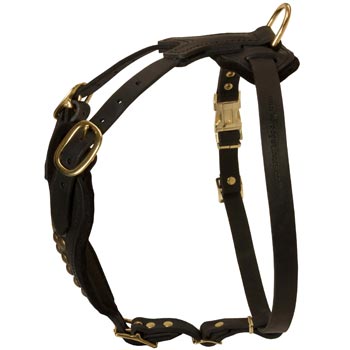 Easy Adjustable Leather English Pointer Harness