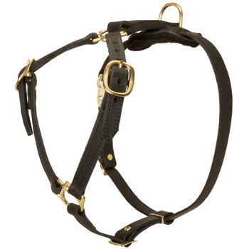 Leather English Pointer Harness Light Weight Y-Shaped for Tracking Dog