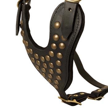 Studded Black Leather CHest Plate for English Pointer Comfort