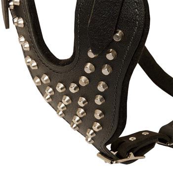 Studded Chest Plate Leather English Pointer Harness