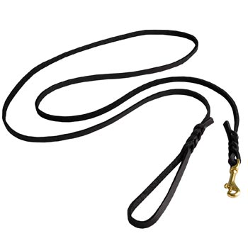 Best Walking English Pointer Leash Designer Supply for Walking in Style