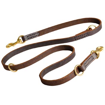 Leather Leash for English Pointer Everyday Walking