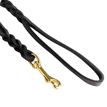 Braided Dog Leash with Snap Hook Easy Connected with Canine Collar for English Pointer