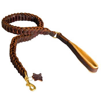 Braided Leather English Pointer Leash with Padding on Handle