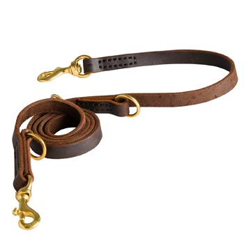 Strong Leather Leash for English Pointer Successful Training
