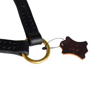 English Pointer Leather Coupler with Rust-proof O-ring
