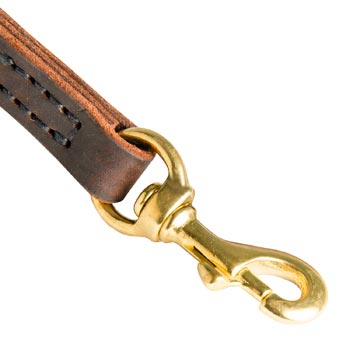 English Pointer Leather Leash with Brass Hardware