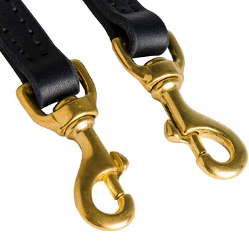 Leather Leash for English Pointer with Rust Resistant Snap Hooks