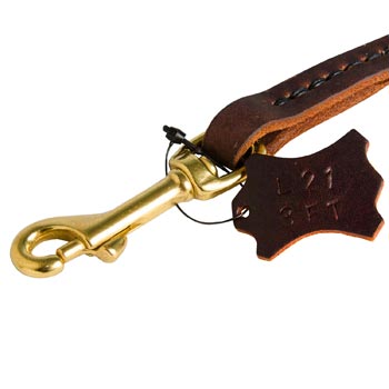 Rustproof Snap Hook for leather English Pointer Leash