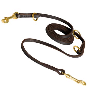 Multipurpose English Pointer Leather Leash for Effective Training